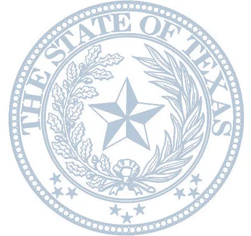 the state of texas logo