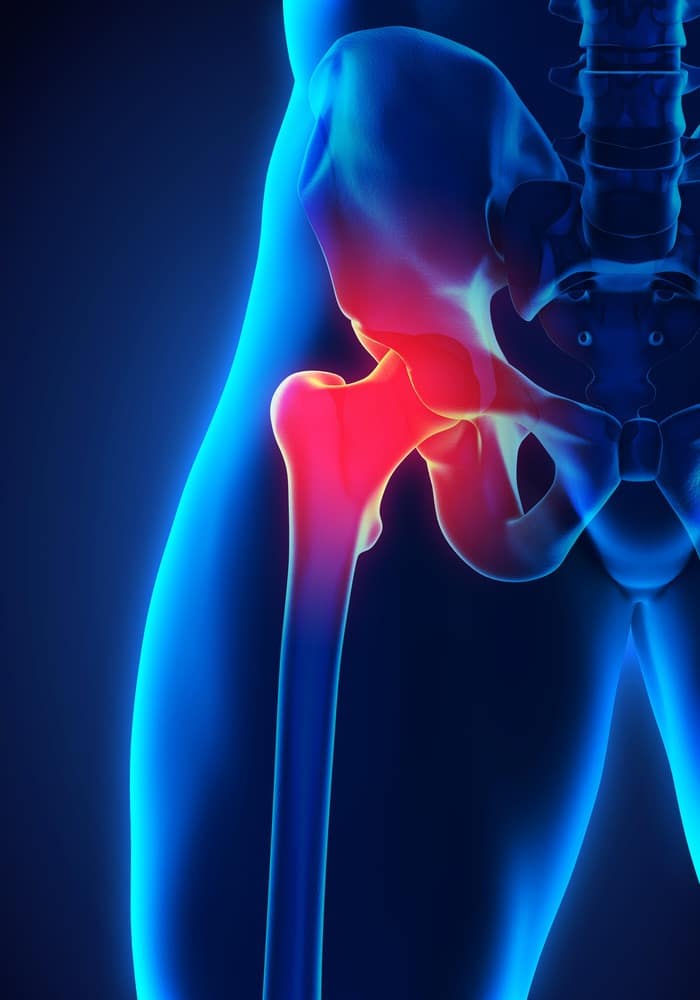 3D illustration of human hip skeleton 