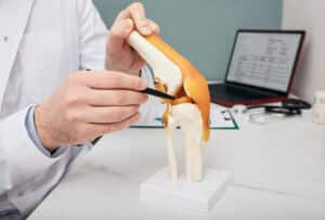 Surgeon pointing a pen to meniscus in a knee-joint anatomical teaching model.