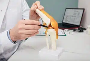 Surgeon pointing a pen to meniscus in a knee-joint anatomical teaching model.