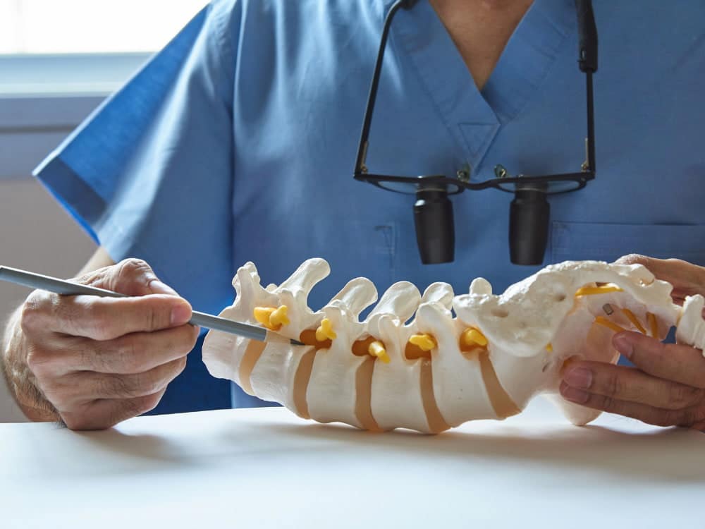 Surgeon pointing at Lumbar Spine model